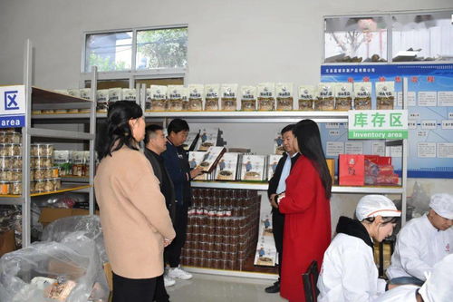 文縣電商中心負(fù)責(zé)人深入一線，檢查指導(dǎo)電商協(xié)會(huì)及企業(yè)運(yùn)營(yíng)，力促農(nóng)副產(chǎn)品銷售再上新臺(tái)階